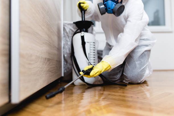 Best Termite Control Services  in Marysville, MI