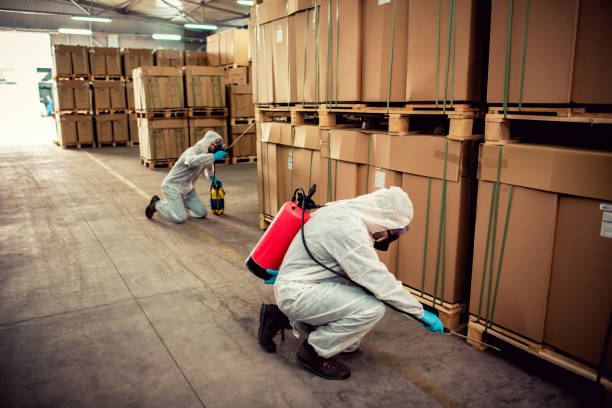 Best Insect Control  in Marysville, MI