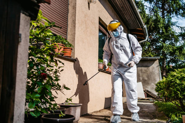 Best Affordable Exterminators  in Marysville, MI