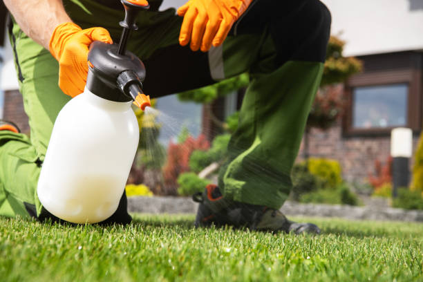 Best Best Pest Control Companies  in Marysville, MI