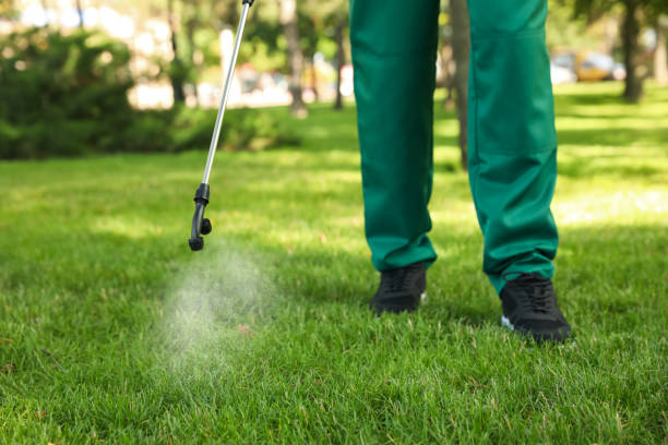Best Flea Control Services  in Marysville, MI