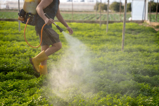 Professional Pest Control in Marysville, MI
