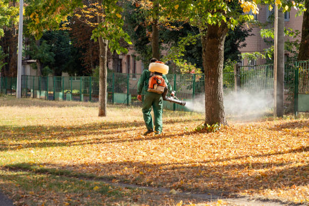 Best Mosquito Control Services  in Marysville, MI