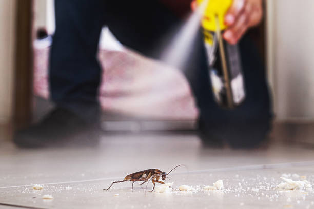 Best Pest Control Near Me  in Marysville, MI